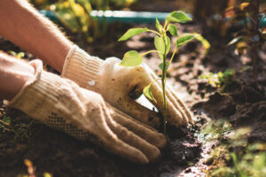 Flourishing Friday: starting over